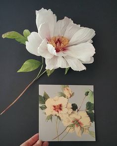 a hand holding a piece of paper next to a flower on a black table top