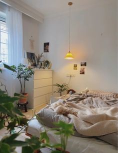 an unmade bed sitting next to a window in a room with plants on the floor