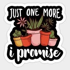 a sticker that says just one more i promise with potted cacti