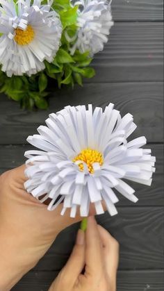 a person holding a white flower in their hand