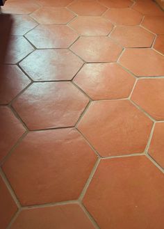 a bathroom floor that has been cleaned and is red with brown grouting on it