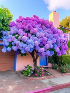 a tree with purple flowers in front of a house