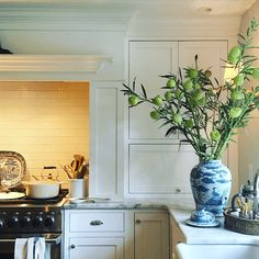 a vase filled with flowers sitting on top of a kitchen counter next to a stove