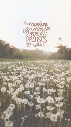 a field full of dandelions with the words if certain things sound, praise and will