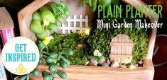 a miniature garden in a wooden house with plants and rocks on the shelf next to it