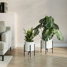 Add a modern twist to your home with the Raya Indoor White Metal Planter Pot With Loki Black Metal Planter Base - (Small & Medium Set) - 14.75"H x 11.75"W. This set of two planters features elegant white pots complemented by sturdy black metal bases with four legs, ideal for bringing mid century modern style into your living space. The sizes of the planters, 12"H x 9.5"W and 14.75"H x 11.75"W, cater to a variety of plants, enhancing the decor of any room. Elevate your home's ambiance with the Ra White Pots, White Pot, White Planters, Metal Planters, Mid Century Modern Style, Garden Center, Four Legged, White Metal, Garden Planters