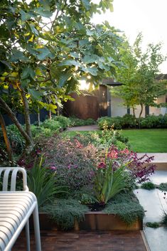 an outdoor garden with lots of plants and flowers in the center, along with a bench