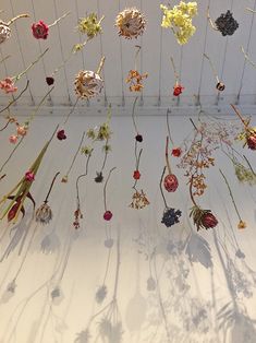 dried flowers hanging from the ceiling in a room