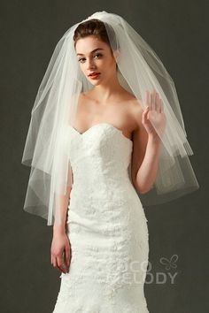 a woman in a wedding dress with a veil on her head