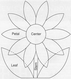 a flower with four petals labeled in the center