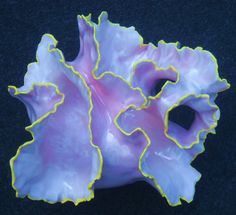 a pink and yellow flower sitting on top of a black surface