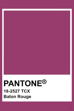 the pantone color is shown in purple