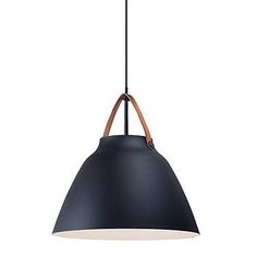 Maxim Nordic 19" Wide Black Metal Dome Pendant Light Metal Dome Pendant Light, Wood Chandeliers, Black Chandeliers, Dome Pendant Light, Cage Pendant Light, Dome Pendant Lighting, Golden Lighting, Wood Chandelier