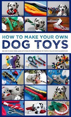 the cover of how to make your own dog toys, with pictures of dogs and tools