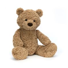 a brown teddy bear sitting in front of a white background