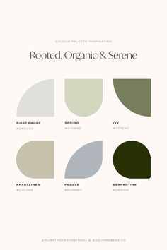 the color scheme for rooted organic and serene, with different shades in each one corner