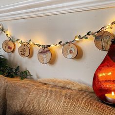 a string of lights hanging from a wall next to a vase and potted plant