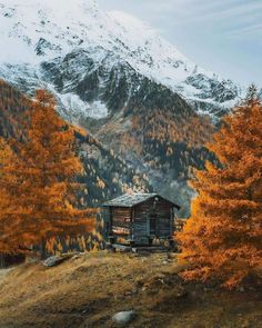 an old cabin in the mountains surrounded by trees with yellow leaves on it's branches