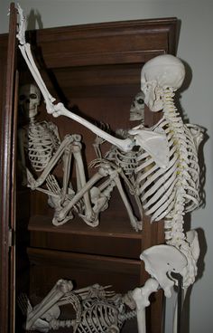 two skeletons sitting in front of a bookcase with their arms and legs spread out