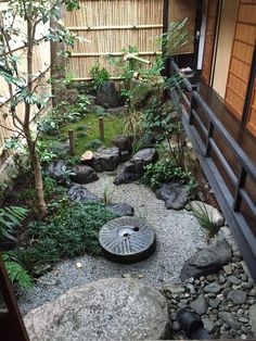 an outdoor garden with rocks and plants