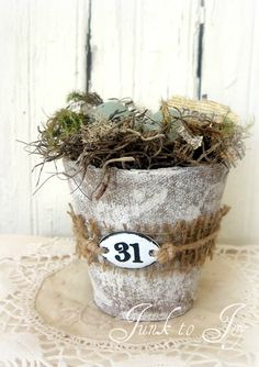 a potted plant sitting on top of a table