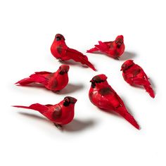 six red birds sitting on top of each other