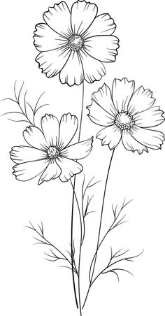 three daisies are shown in this black and white drawing, with one flower on the side