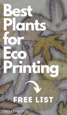 the best plants for eco printing free list