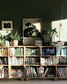 a book shelf filled with lots of books next to a plant on top of a table