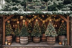 christmas trees are on display in front of a wooden shed with barrels and lights around them