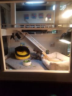 a room with a bed, lamp and stuffed animals in it's display case