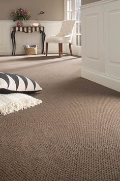 a living room with carpeting and furniture in the background, including a rug on the floor