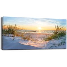 the sun is setting at the beach with grass in the foreground and sand dunes on the other side