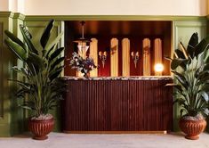 two large plants are sitting in front of a wooden counter with lights on it and green walls