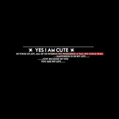 a black background with red and white text that says yes i am cute in times of alarm