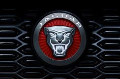 the jaguar logo is shown on a black background with hexagonal pattern and red accents