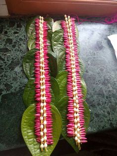 two pink and white flowers on green leaves next to a window sill in a room