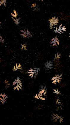 an image of some leaves in the air on a black background with gold and silver glitters