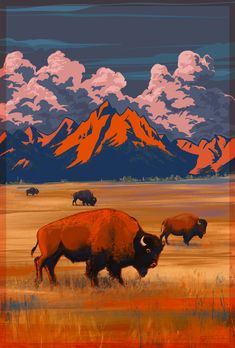 three buffalo grazing in an open field with mountains in the background and clouds in the sky