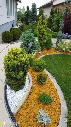 a garden with rocks and plants in the front yard, along side a house on a sunny day