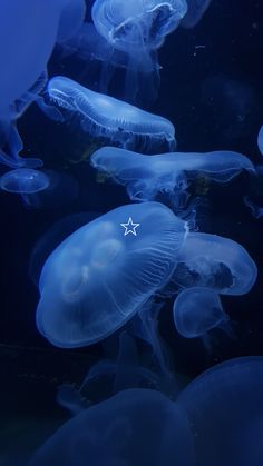 aesthetic moon jellyfish ocean deep sea core Marine Biology, Sea Animals, Jellyfish, Sea Creatures, Pretty Wallpapers, Phone Wallpapers, Biology, Cute Wallpapers