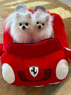 two small white dogs sitting in a red car shaped dog bed on top of a wooden floor