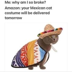 a cat wearing a mexican hat and sweater with the caption me why am i so broke? amazon your mexican cat costume will be delivered tomorrow