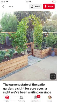 an image of a garden on instagram