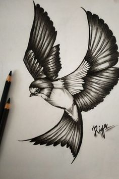 a drawing of a bird flying in the air