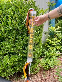 a person is holding a plastic tube with ribbon around it and some bushes in the background