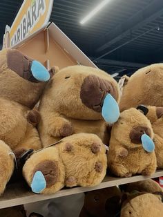 several brown teddy bears with blue noses and nose stickers sitting on a shelf in a store