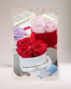 New York Lasting roses in Heart shape Box Everyday Is A Good Day, Better Half