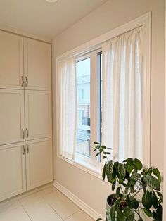 an empty room with white cabinets and a potted plant in the window sill