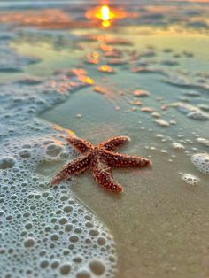 a starfish is laying on the beach at sunset, with bubbles in the water